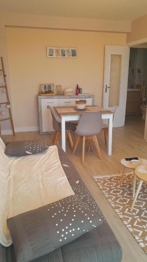 Chateauroux : Bel Appartement Avec Balcon Экстерьер фото